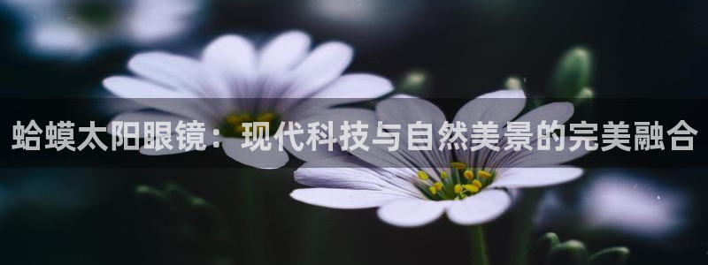新宝5策略