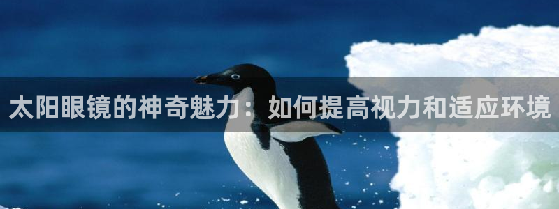 新宝j2O5O5O