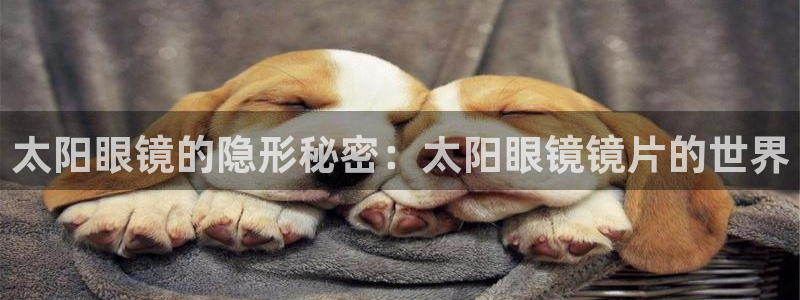 新宝5官方下载地址