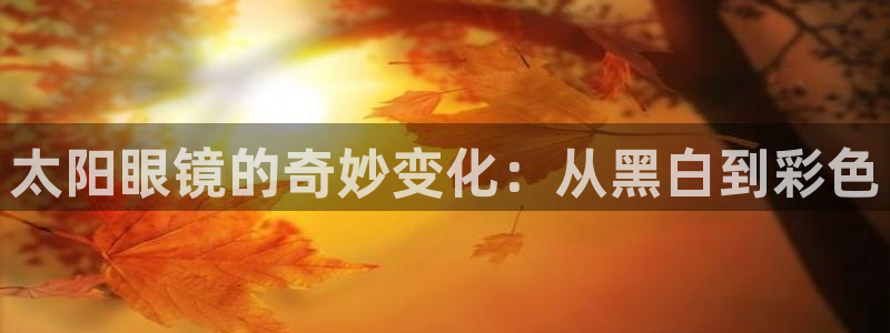 有人知道新宝5么