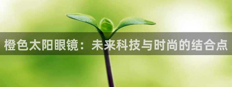 菲律宾新宝5老板