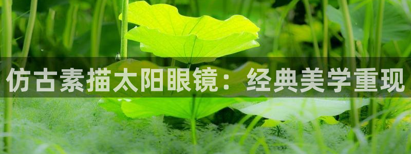 新宝5官网67五壹叁八