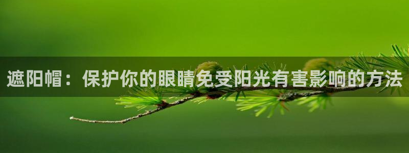 新宝5彩票娱乐平台