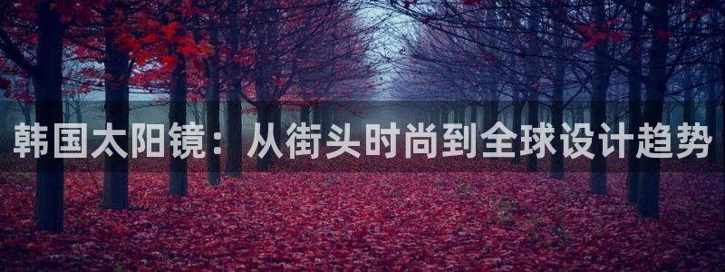 新宝堂新会陈皮5年