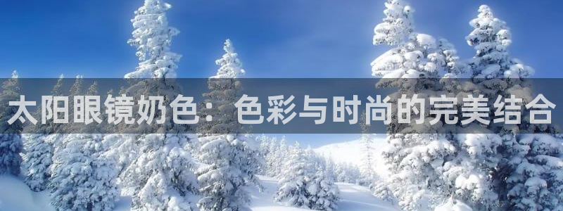 新宝5怎么下载到桌面