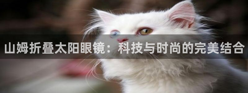 新宝5手机平台登陆