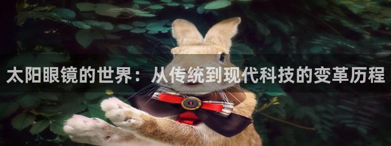 新宝5软件下载